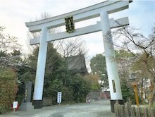 torii