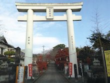 torii